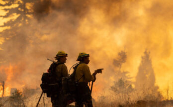 California's Park Fire exceeds 368,000 acres, now the state's 6th largest fire ever.